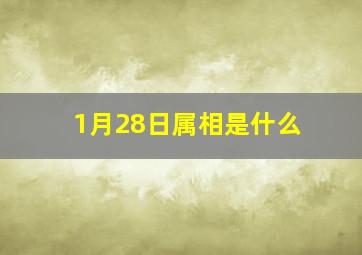 1月28日属相是什么