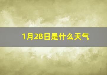 1月28日是什么天气