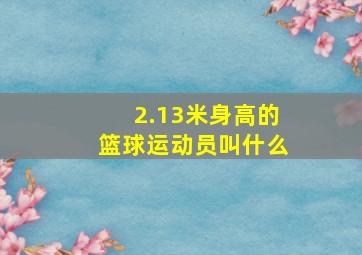 2.13米身高的篮球运动员叫什么