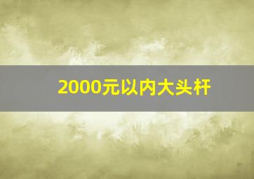 2000元以内大头杆