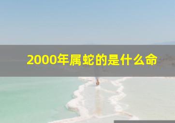 2000年属蛇的是什么命