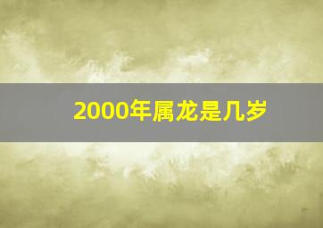 2000年属龙是几岁