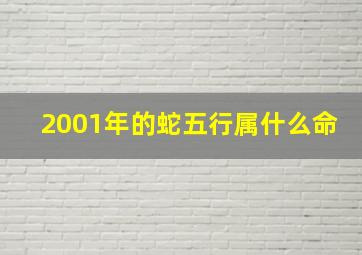 2001年的蛇五行属什么命