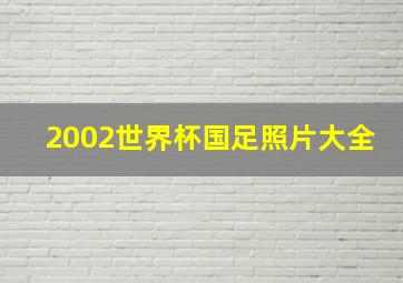 2002世界杯国足照片大全