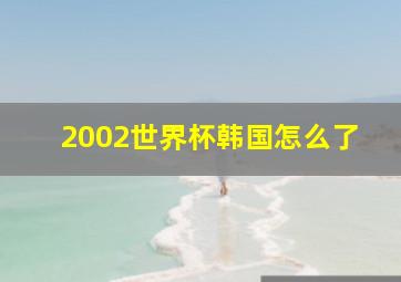 2002世界杯韩国怎么了