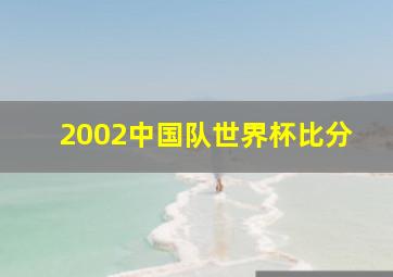 2002中国队世界杯比分