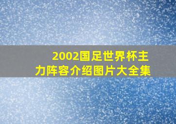 2002国足世界杯主力阵容介绍图片大全集