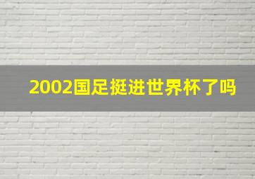 2002国足挺进世界杯了吗