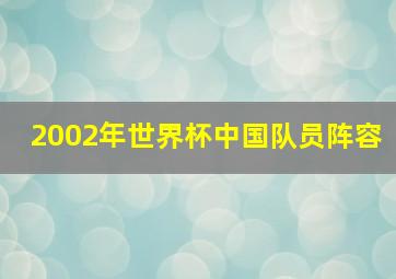 2002年世界杯中国队员阵容