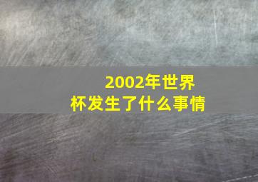 2002年世界杯发生了什么事情