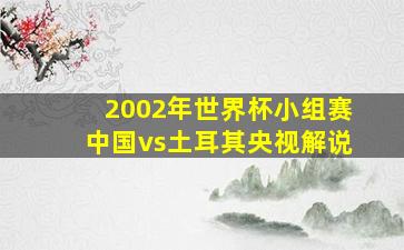 2002年世界杯小组赛中国vs土耳其央视解说