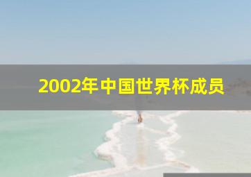 2002年中国世界杯成员