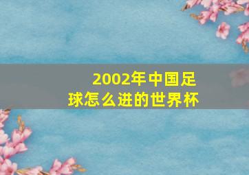 2002年中国足球怎么进的世界杯