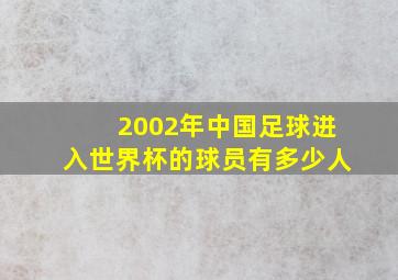 2002年中国足球进入世界杯的球员有多少人