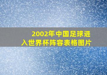 2002年中国足球进入世界杯阵容表格图片