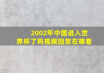 2002年中国进入世界杯了吗视频回放在哪看