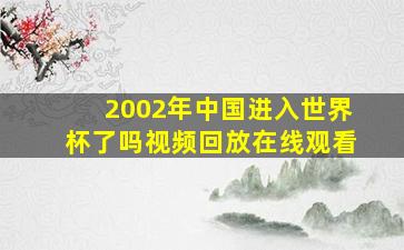 2002年中国进入世界杯了吗视频回放在线观看