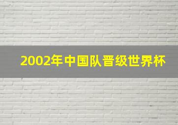 2002年中国队晋级世界杯