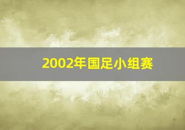 2002年国足小组赛