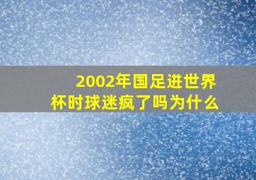 2002年国足进世界杯时球迷疯了吗为什么