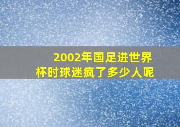 2002年国足进世界杯时球迷疯了多少人呢