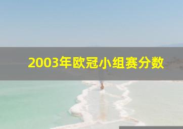 2003年欧冠小组赛分数