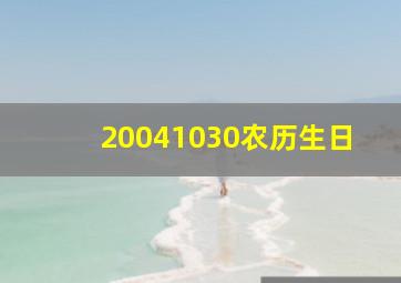 20041030农历生日