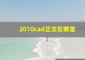 2010cad正交在哪里