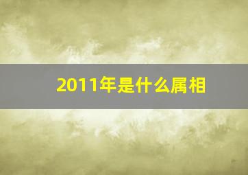 2011年是什么属相