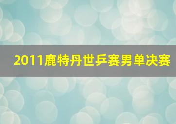 2011鹿特丹世乒赛男单决赛