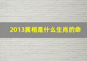 2013属相是什么生肖的命