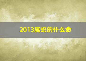 2013属蛇的什么命