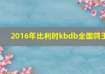 2016年比利时kbdb全国鸽王