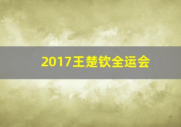 2017王楚钦全运会