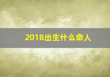 2018出生什么命人