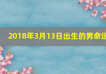 2018年3月13日出生的男命运