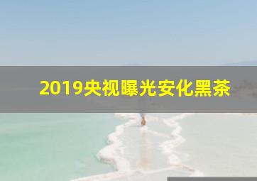 2019央视曝光安化黑茶