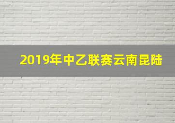 2019年中乙联赛云南昆陆