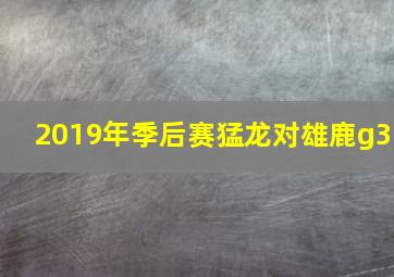 2019年季后赛猛龙对雄鹿g3