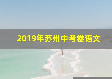 2019年苏州中考卷语文