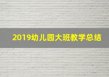 2019幼儿园大班教学总结