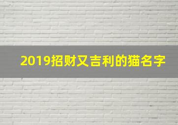 2019招财又吉利的猫名字