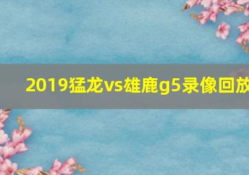 2019猛龙vs雄鹿g5录像回放