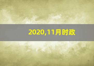 2020,11月时政