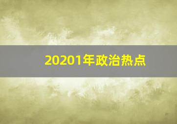 20201年政治热点