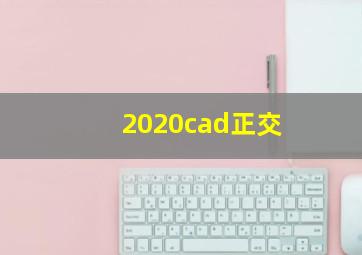 2020cad正交