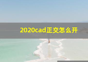 2020cad正交怎么开