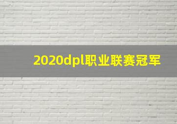 2020dpl职业联赛冠军