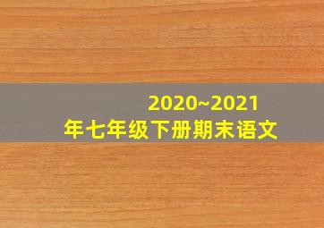 2020~2021年七年级下册期末语文