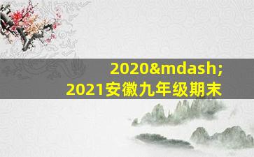 2020—2021安徽九年级期末